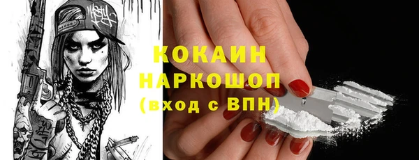гашик Коряжма