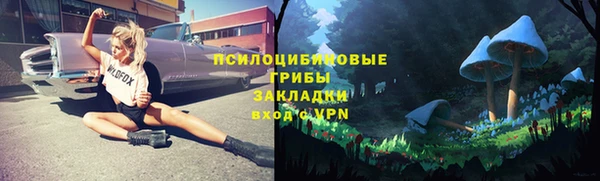гашик Коряжма