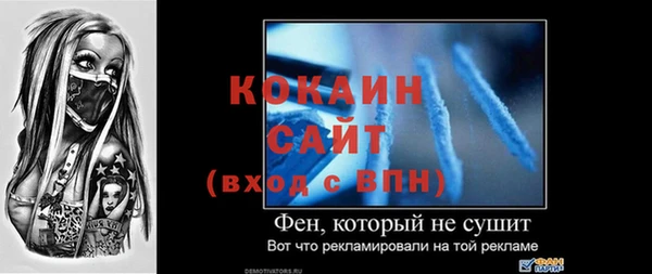гашик Коряжма