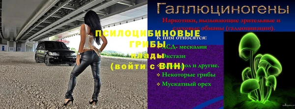амф Корсаков
