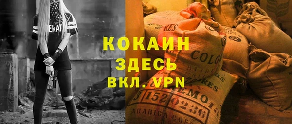 гашик Коряжма