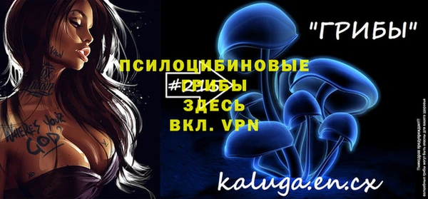 прущий лед Краснослободск