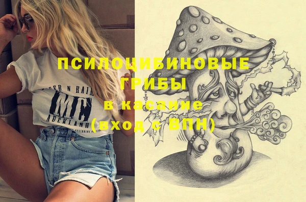 амф Корсаков