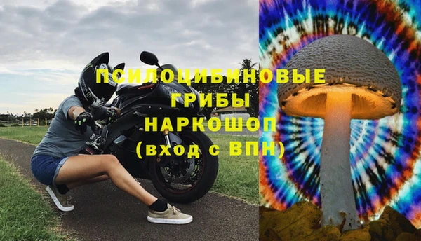 гашик Коряжма