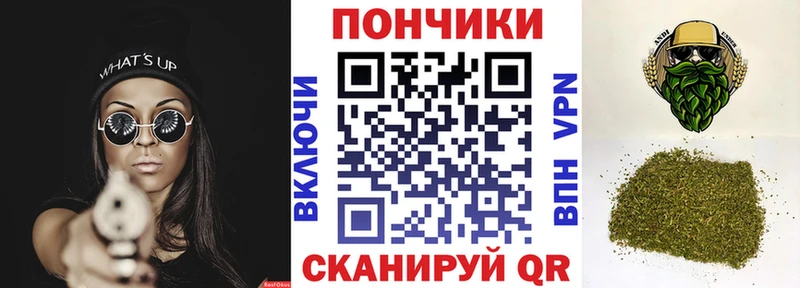Купить закладки  Верхняя Пышма  Каннабис Ganja 
